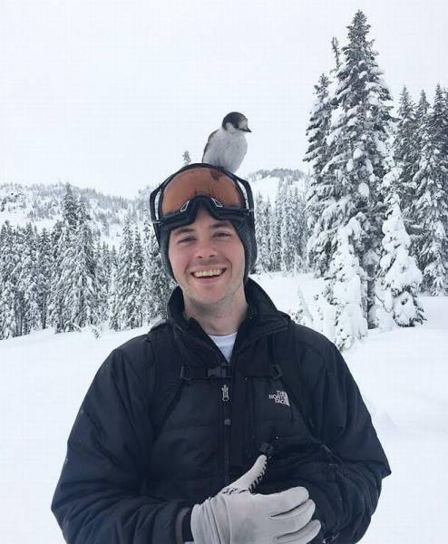 daily picdump 102 pics 2.html - 102 HD Photos | Premium Gallery 2017