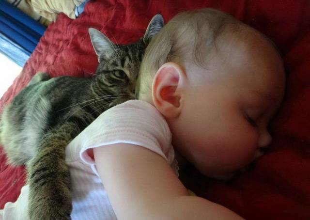 daily picdump 102 pics 2.html - 102 HD Photos | Premium Gallery 2017