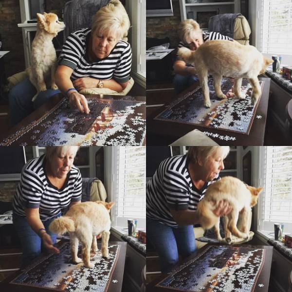 morning picdump 52 pics 9.html - 52 HD Photos | Premium Gallery 2017