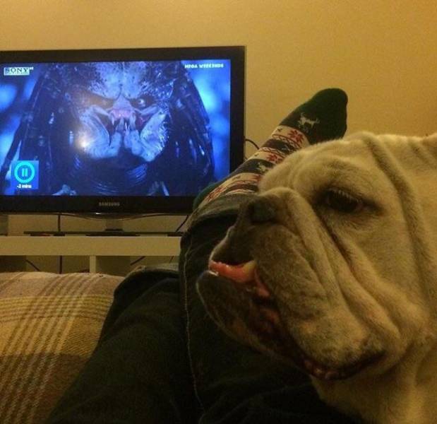 morning picdump 52 pics 9.html - 52 HD Photos | Premium Gallery 2017