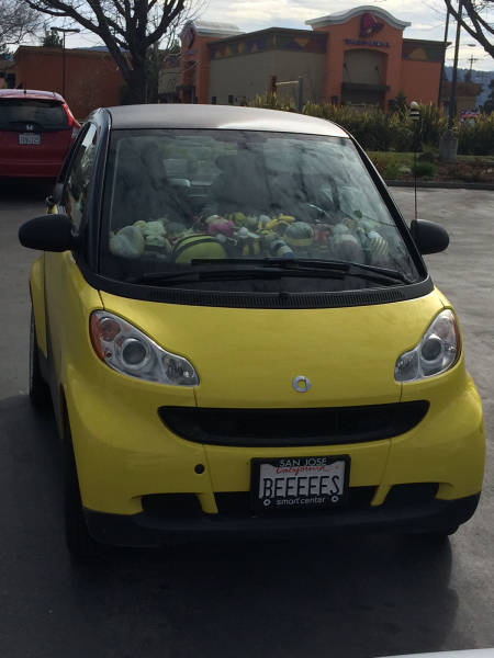 morning picdump 52 pics 9.html - 52 HD Photos | Premium Gallery 2017