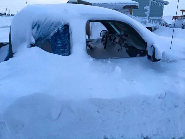 daily picdump 96 pics 6.html - 96 HD Photos | Premium Gallery 2017