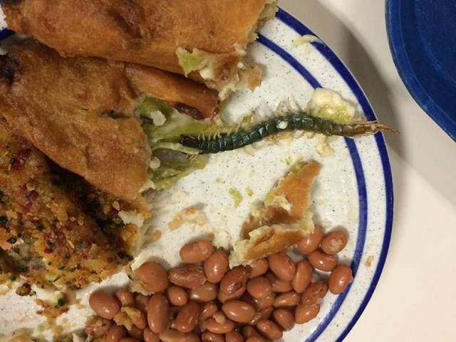 daily picdump 96 pics 6.html - 96 HD Photos | Premium Gallery 2017