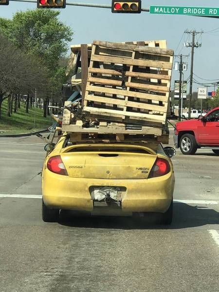 daily picdump 96 pics 6.html - 96 HD Photos | Premium Gallery 2017