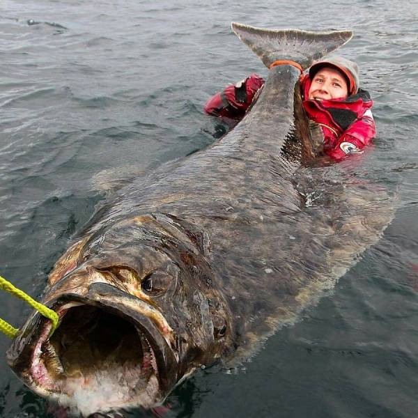 daily picdump 96 pics 6.html - 96 HD Photos | Premium Gallery 2017