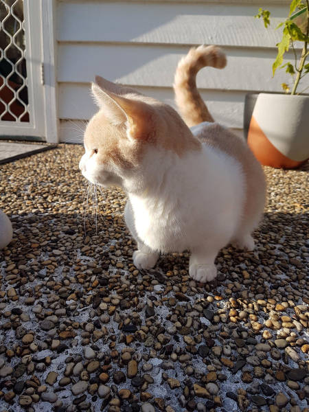 morning picdump 51 pics 5.html - 51 HD Photos | Premium Gallery 2017