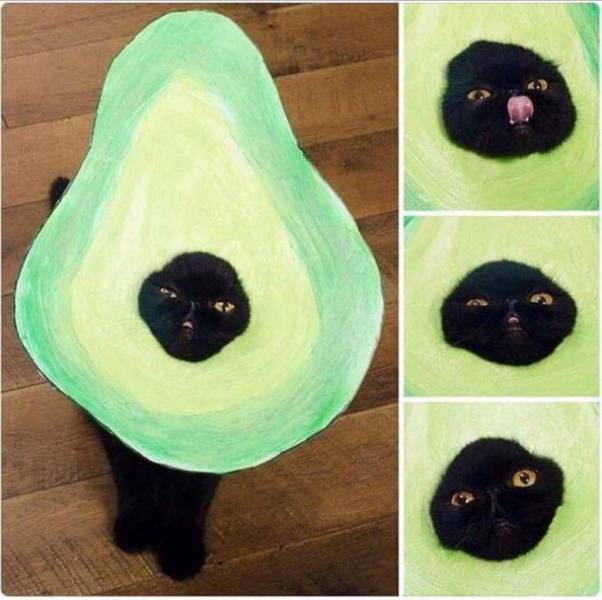 morning picdump 51 pics 5.html - 51 HD Photos | Premium Gallery 2017