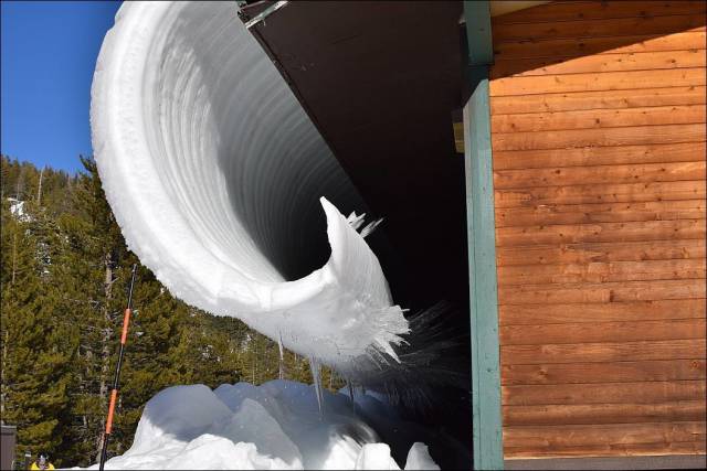 daily picdump 100 pics 11.html - 100 HD Photos | Premium Gallery 2017