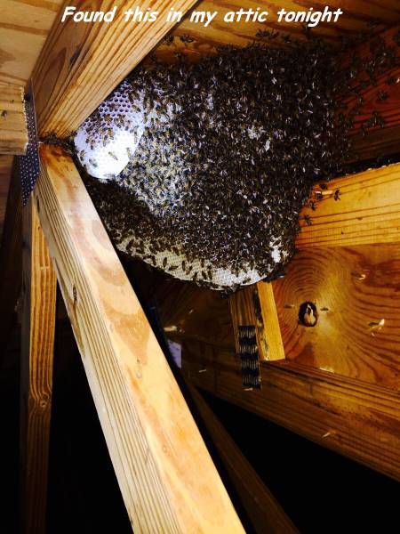 daily picdump 100 pics 11.html - 100 HD Photos | Premium Gallery 2017