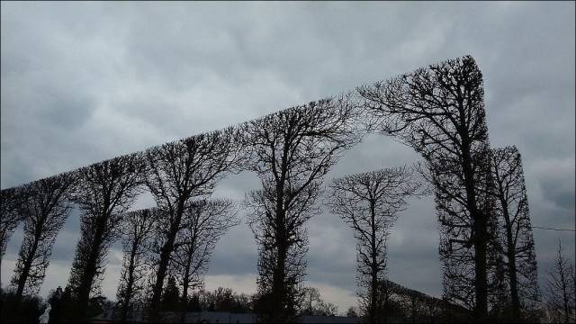 daily picdump 100 pics 11.html - 100 HD Photos | Premium Gallery 2017