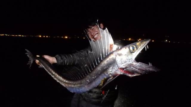 daily picdump 100 pics 11.html - 100 HD Photos | Premium Gallery 2017