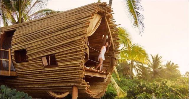 daily picdump 100 pics 11.html - 100 HD Photos | Premium Gallery 2017