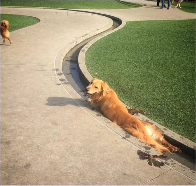 daily picdump 100 pics 11.html - 100 HD Photos | Premium Gallery 2017