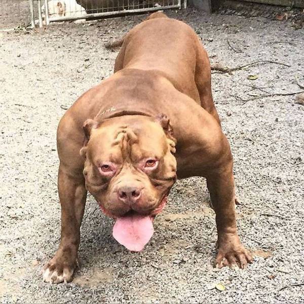 daily picdump 100 pics 11.html - 100 HD Photos | Premium Gallery 2017