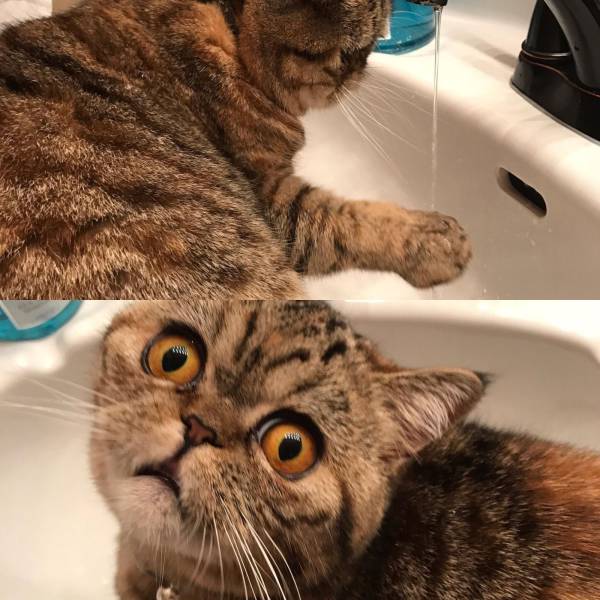 daily picdump 100 pics 11.html - 100 HD Photos | Premium Gallery 2017