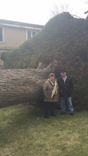 morning picdump 53 pics 9.html - 53 HD Photos | Premium Gallery 2017