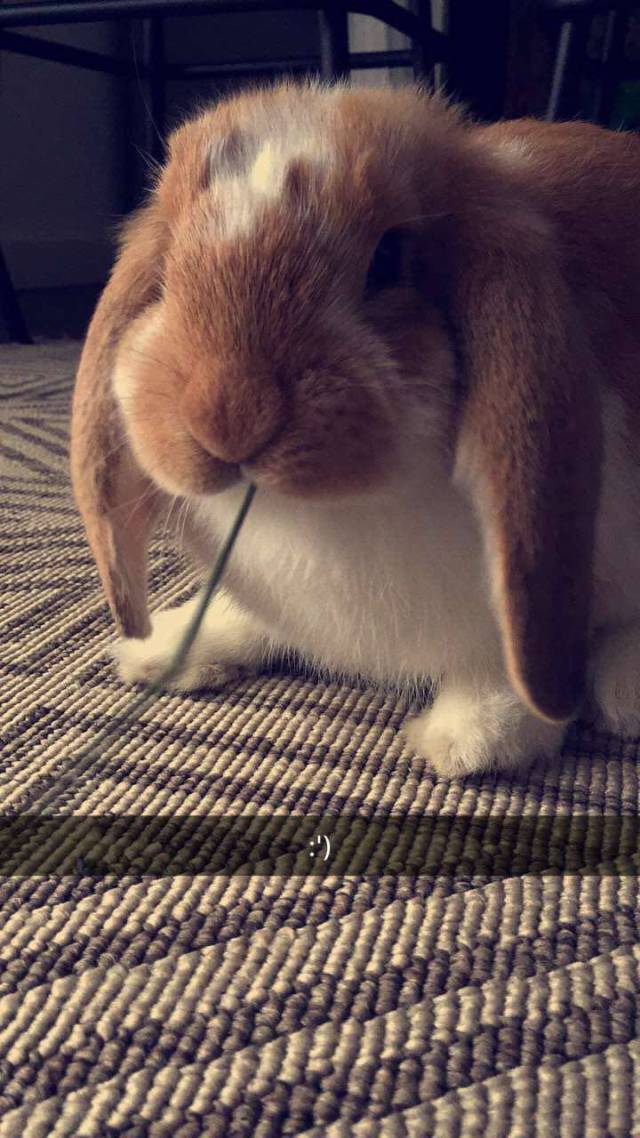 morning picdump 53 pics 9.html - 53 HD Photos | Premium Gallery 2017