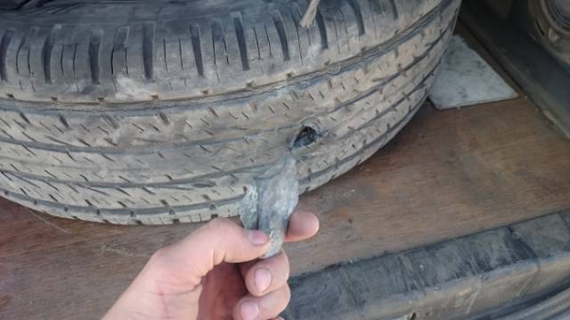 Daily Picdump [WEEKEND EDITION]