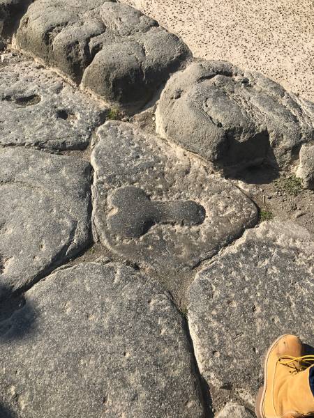 Daily Picdump [WEEKEND EDITION]