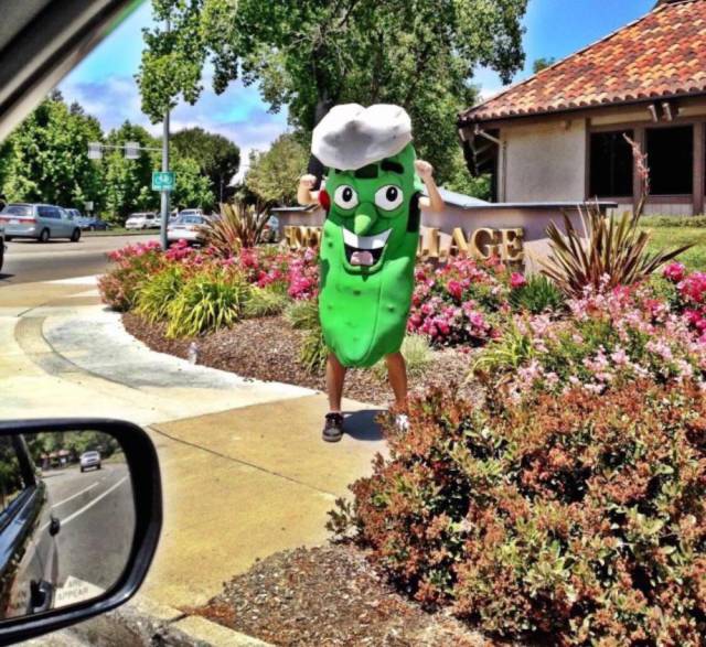 Daily Picdump [WEEKEND EDITION]