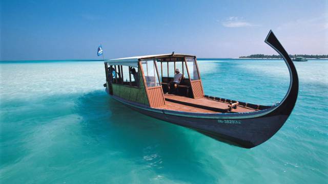 daily picdump weekend edition 51 pics 2.html - 51 HD Photos | Premium Gallery 2017