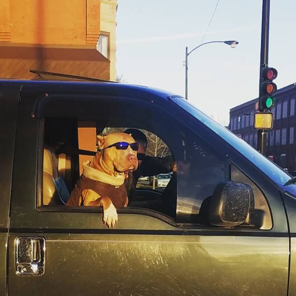 daily picdump weekend edition 51 pics 2.html - 51 HD Photos | Premium Gallery 2017