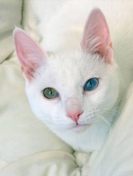 daily picdump weekend edition 51 pics 2.html - 51 HD Photos | Premium Gallery 2017