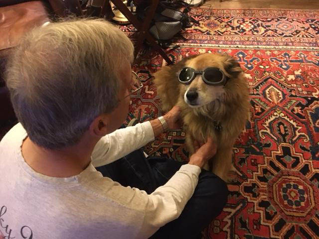 daily picdump weekend edition 51 pics 2.html - 51 HD Photos | Premium Gallery 2017