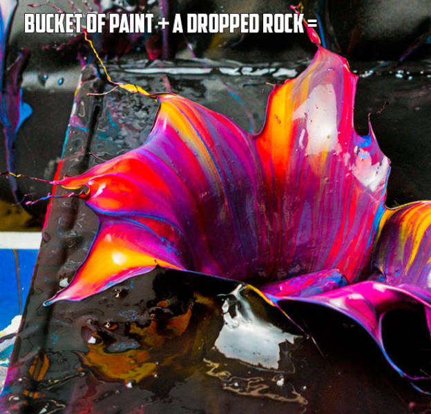 daily picdump weekend edition 51 pics 2.html - 51 HD Photos | Premium Gallery 2017