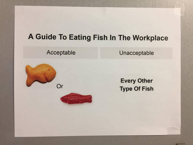 daily picdump weekend edition 51 pics 2.html - 51 HD Photos | Premium Gallery 2017