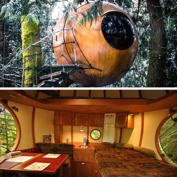 daily picdump 102 pics 51.html - 102 HD Photos | Premium Gallery 2017