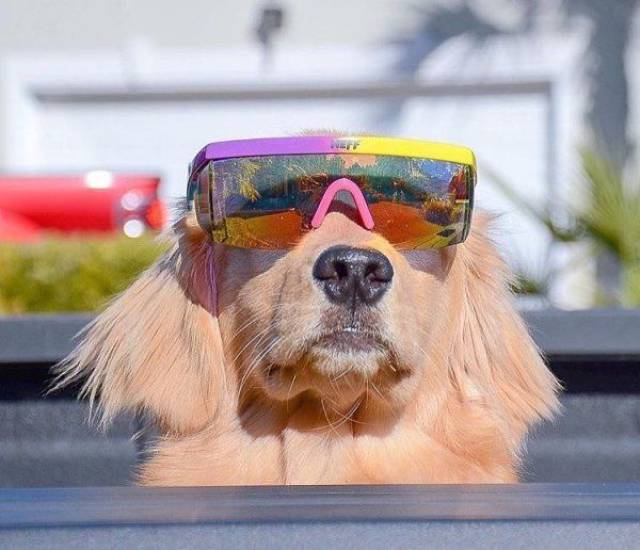 daily picdump 102 pics 51.html - 102 HD Photos | Premium Gallery 2017