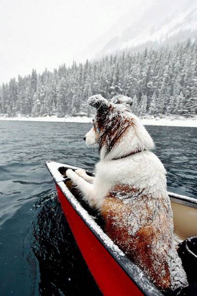 daily picdump 102 pics 51.html - 102 HD Photos | Premium Gallery 2017