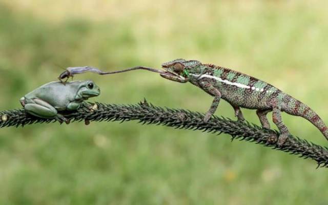 daily picdump 102 pics 51.html - 102 HD Photos | Premium Gallery 2017