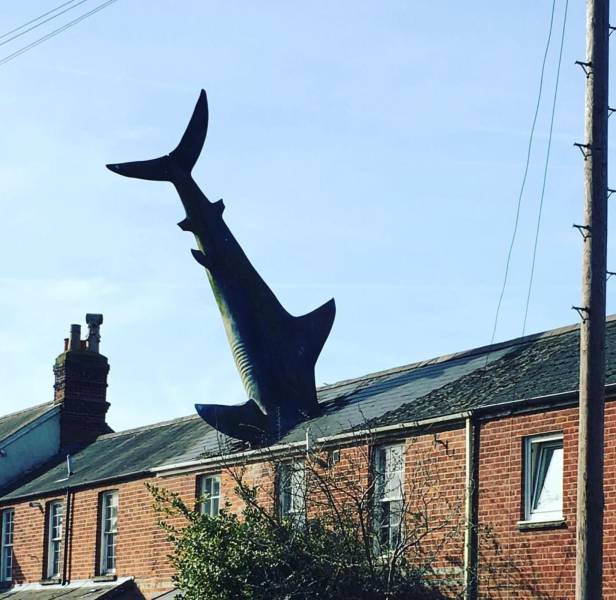 daily picdump 102 pics 51.html - 102 HD Photos | Premium Gallery 2017