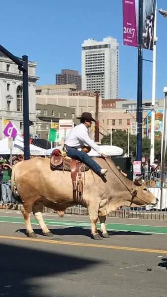 daily picdump 102 pics 51.html - 102 HD Photos | Premium Gallery 2017