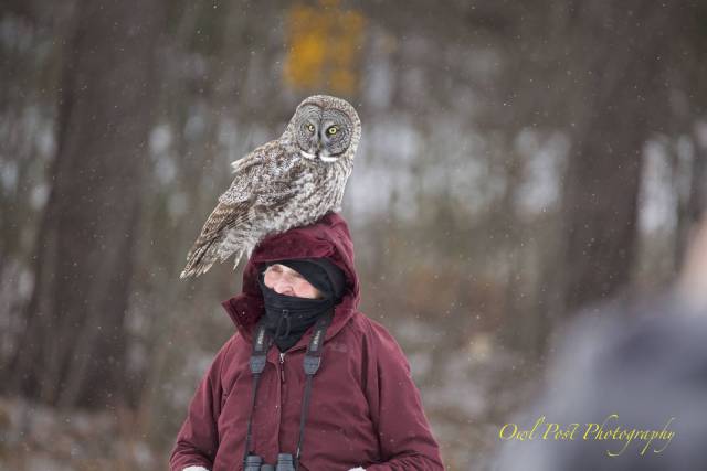 daily picdump 102 pics 51.html - 102 HD Photos | Premium Gallery 2017