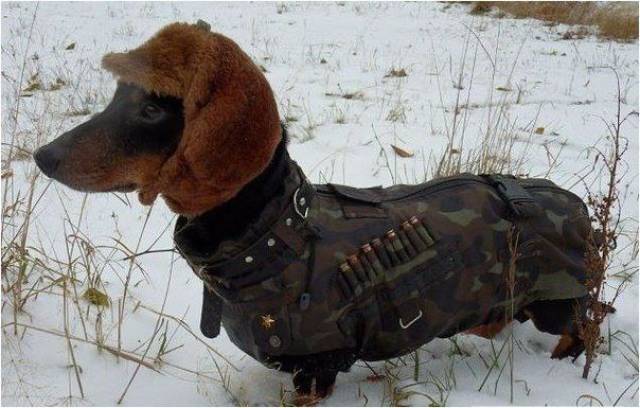 daily picdump 102 pics 51.html - 102 HD Photos | Premium Gallery 2017