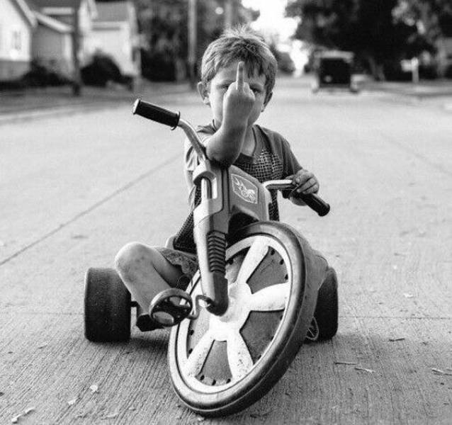 daily picdump 102 pics 5.html - 102 HD Photos | Premium Gallery 2017