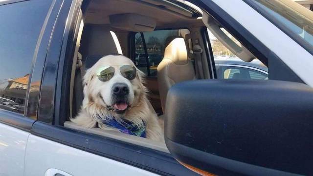 daily picdump 102 pics 5.html - 102 HD Photos | Premium Gallery 2017