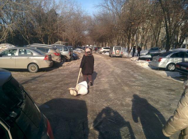 daily picdump 102 pics 5.html - 102 HD Photos | Premium Gallery 2017