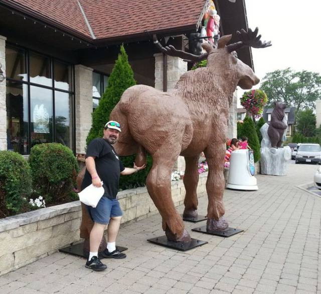 daily picdump 102 pics 5.html - 102 HD Photos | Premium Gallery 2017