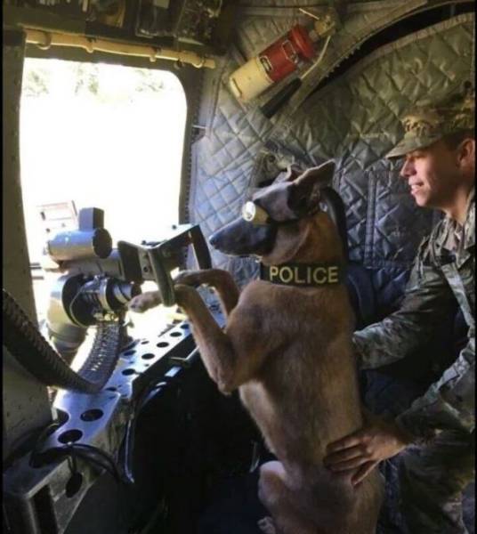 daily picdump 102 pics 5.html - 102 HD Photos | Premium Gallery 2017