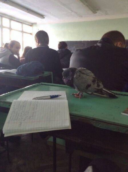 daily picdump 102 pics 5.html - 102 HD Photos | Premium Gallery 2017