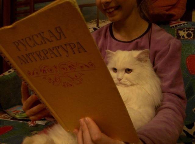 daily picdump 102 pics 5.html - 102 HD Photos | Premium Gallery 2017