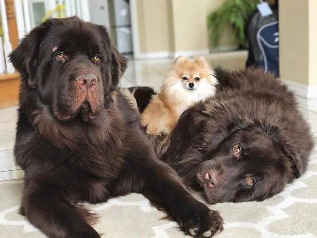 daily picdump 102 pics 5.html - 102 HD Photos | Premium Gallery 2017