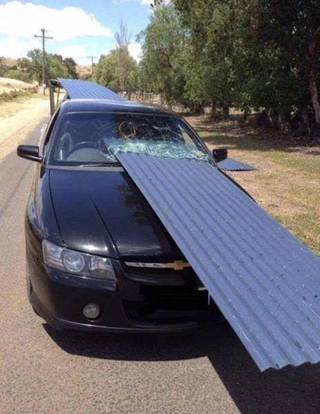 daily picdump 101 pics 34.html - 101 HD Photos | Premium Gallery 2017