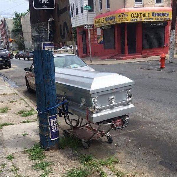 daily picdump 101 pics 34.html - 101 HD Photos | Premium Gallery 2017