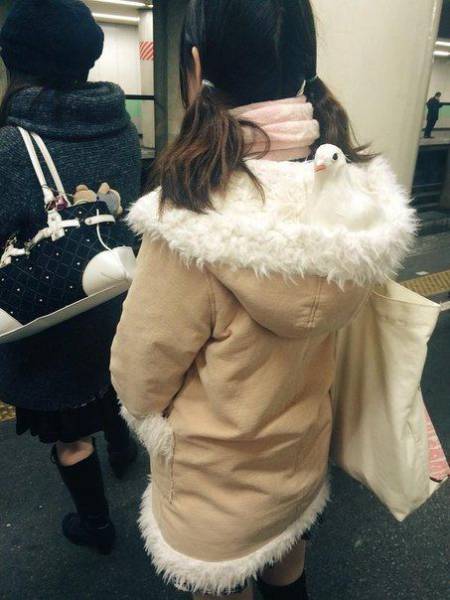 daily picdump 101 pics 34.html - 101 HD Photos | Premium Gallery 2017