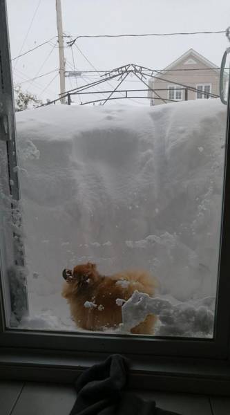 daily picdump 101 pics 34.html - 101 HD Photos | Premium Gallery 2017